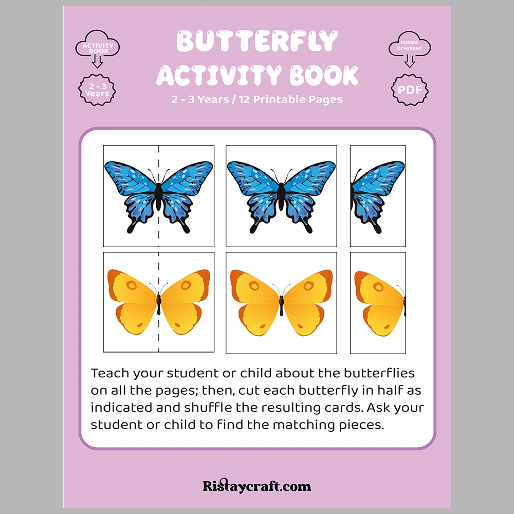 Match the Butterflies Activity Book