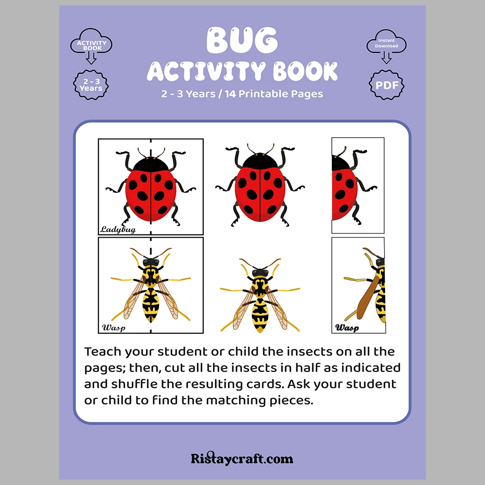 Learn and Match Insects Activity Book