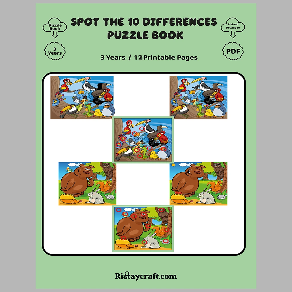 Spot the 10 Differences Puzzle Book