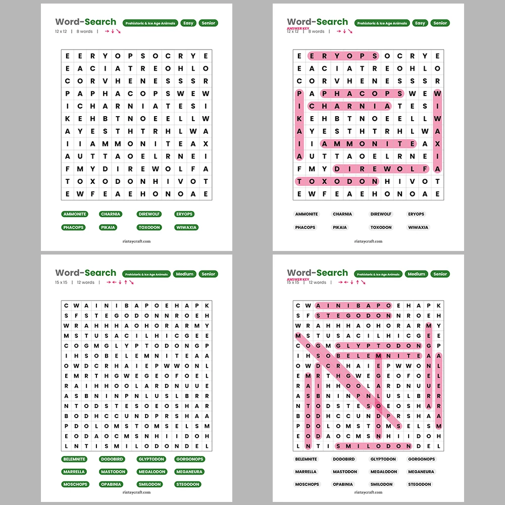 Word Puzzle – Diseases & Conditions – Countries of the World – Themes