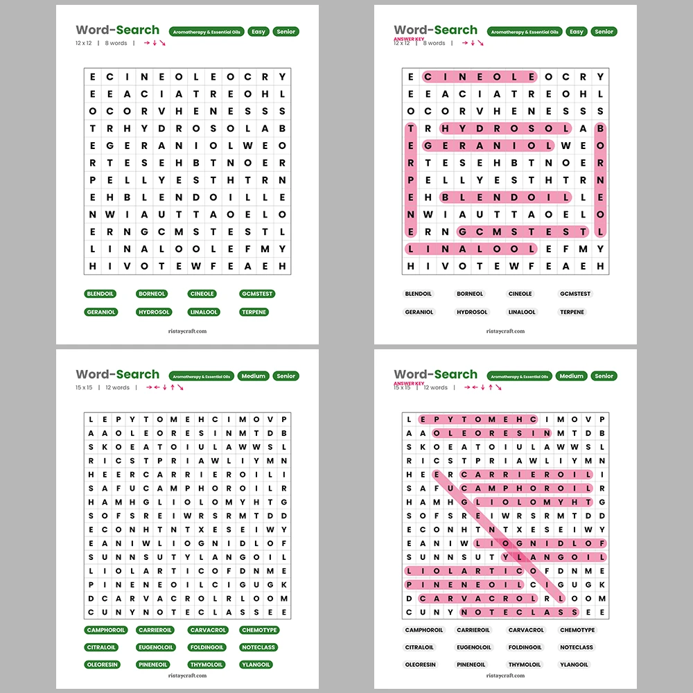 Word Puzzle – Logic and Logical Fallacies – Computers and PC Parts – Themes