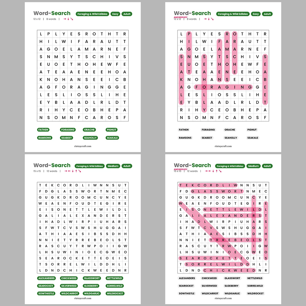 Word Search – Accounting & Bookkeeping – Ice Cream Flavors – Themes