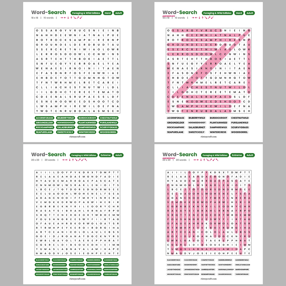 Word Search – Accounting & Bookkeeping – Ice Cream Flavors – Themes