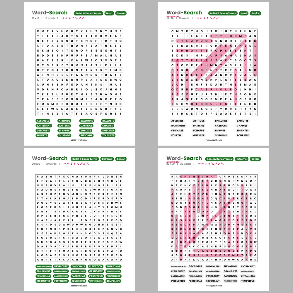 Word Search – Codes and Ciphers – Puzzles and Brain Teasers – Themes