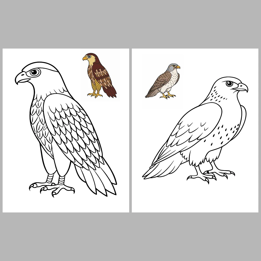 Flying Animals Coloring / With Reference Image