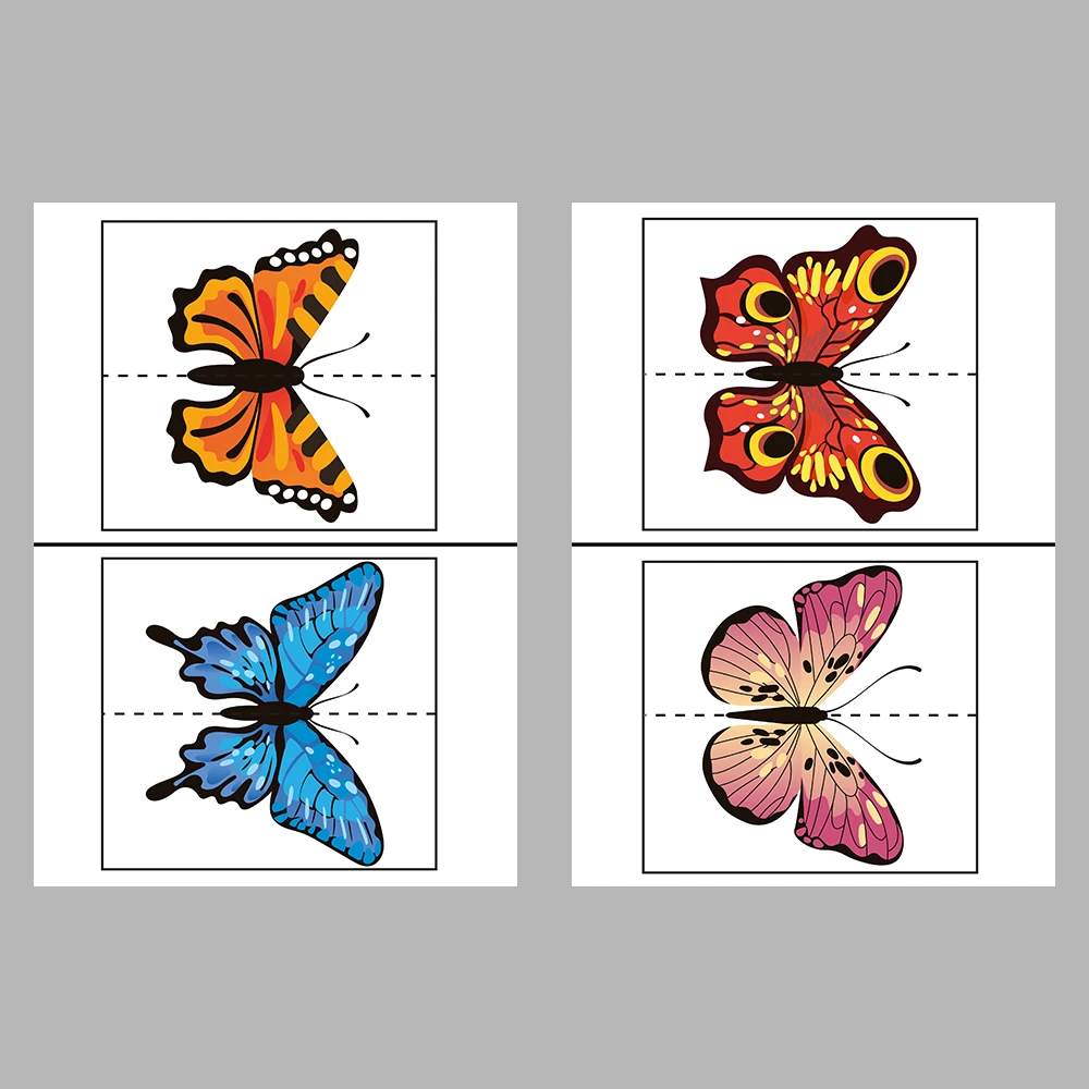 Match the Butterflies Activity Book