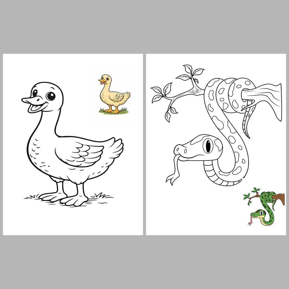Animal Coloring Pages / with Reference Image
