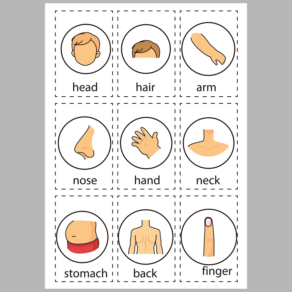 Learning About My Body – Information Card