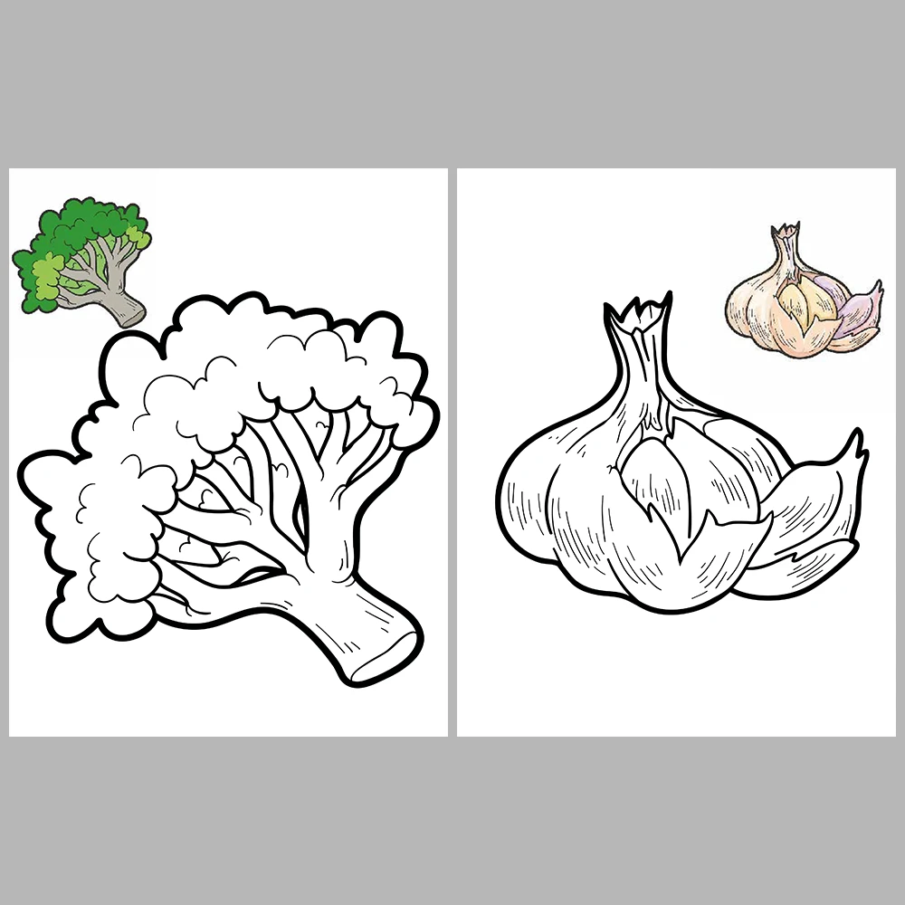 Vegetable Coloring Pages – Reference Images