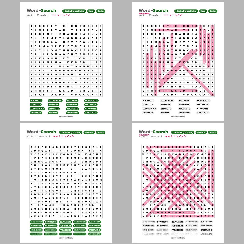 Word Puzzle – Kite Making & Flying – Economics Terms – Themes