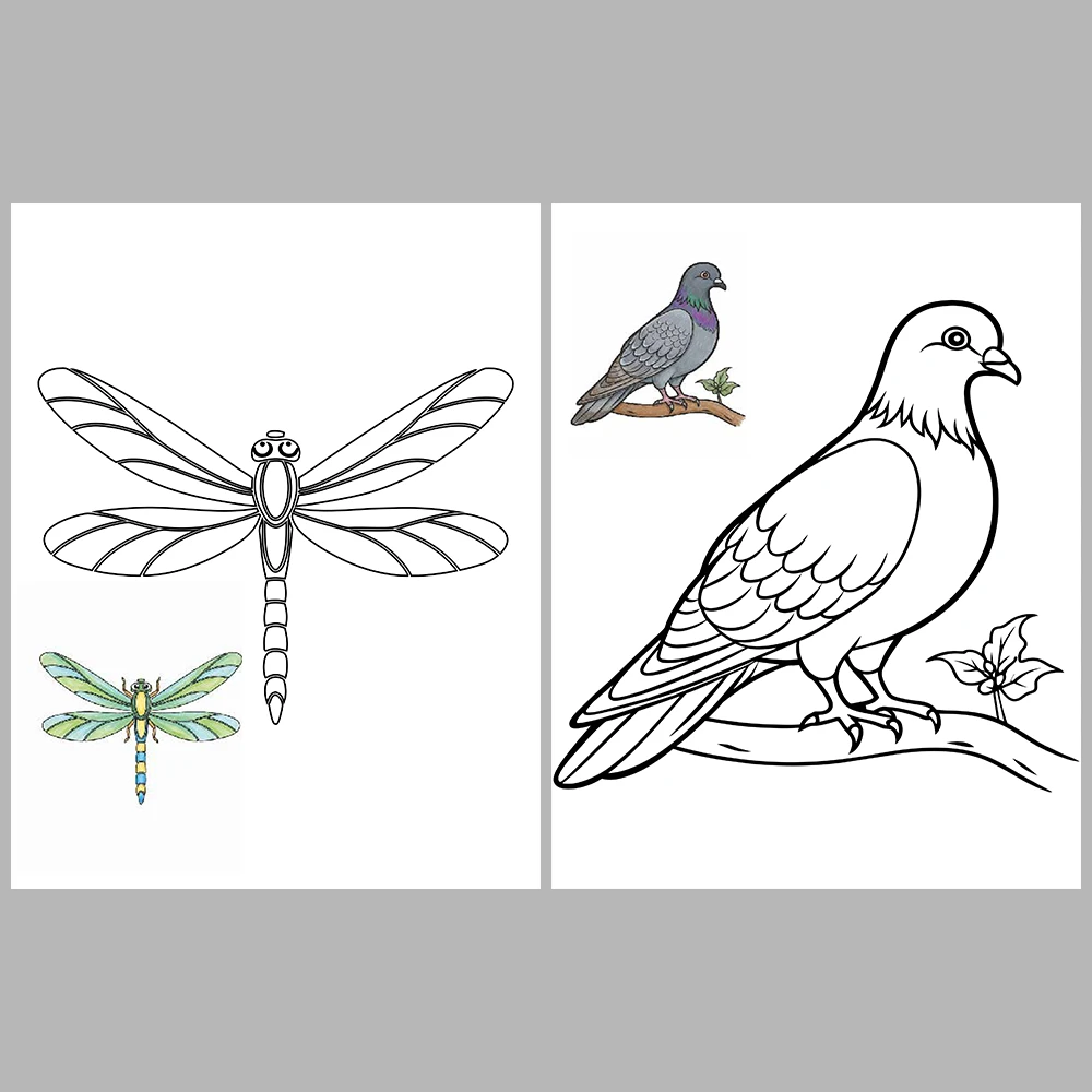 Flying Animals Coloring / With Reference Image