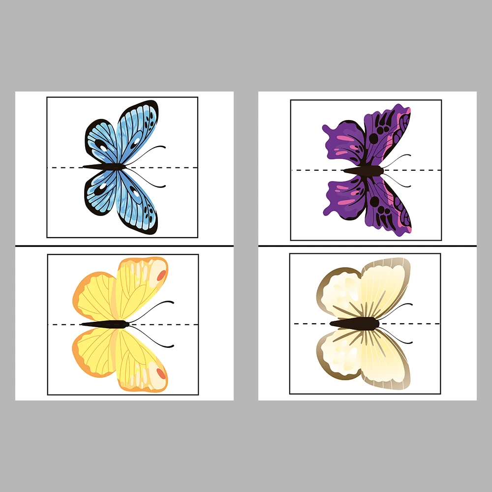 Match the Butterflies Activity Book