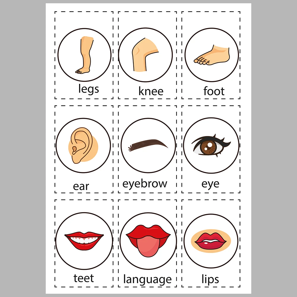 Learning About My Body – Information Card