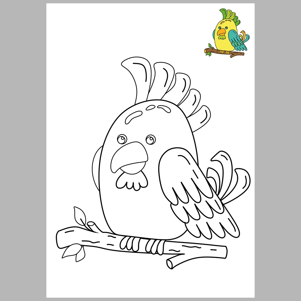 Bird Coloring Pages / Reference Images