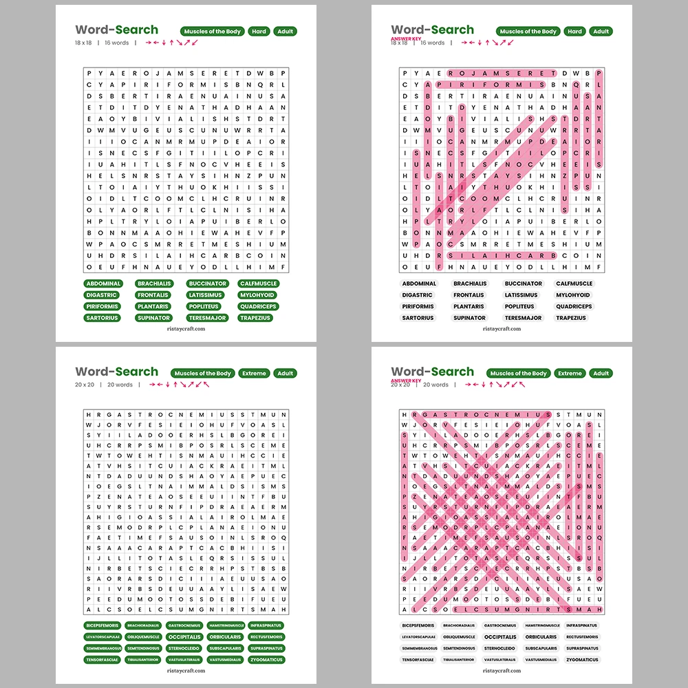 Word Search – Archaeology – Marketing & Advertising – Themes