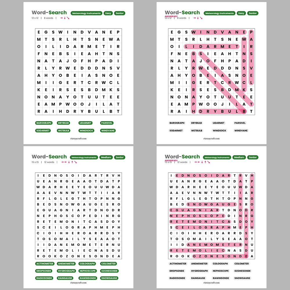 Word Puzzle – Kite Making & Flying – Economics Terms – Themes