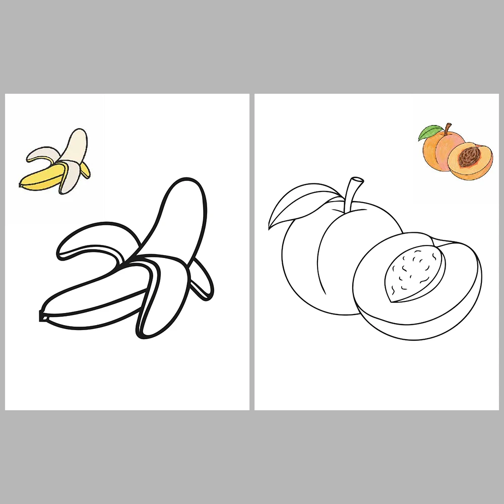 Fruits Coloring / With Reference Image