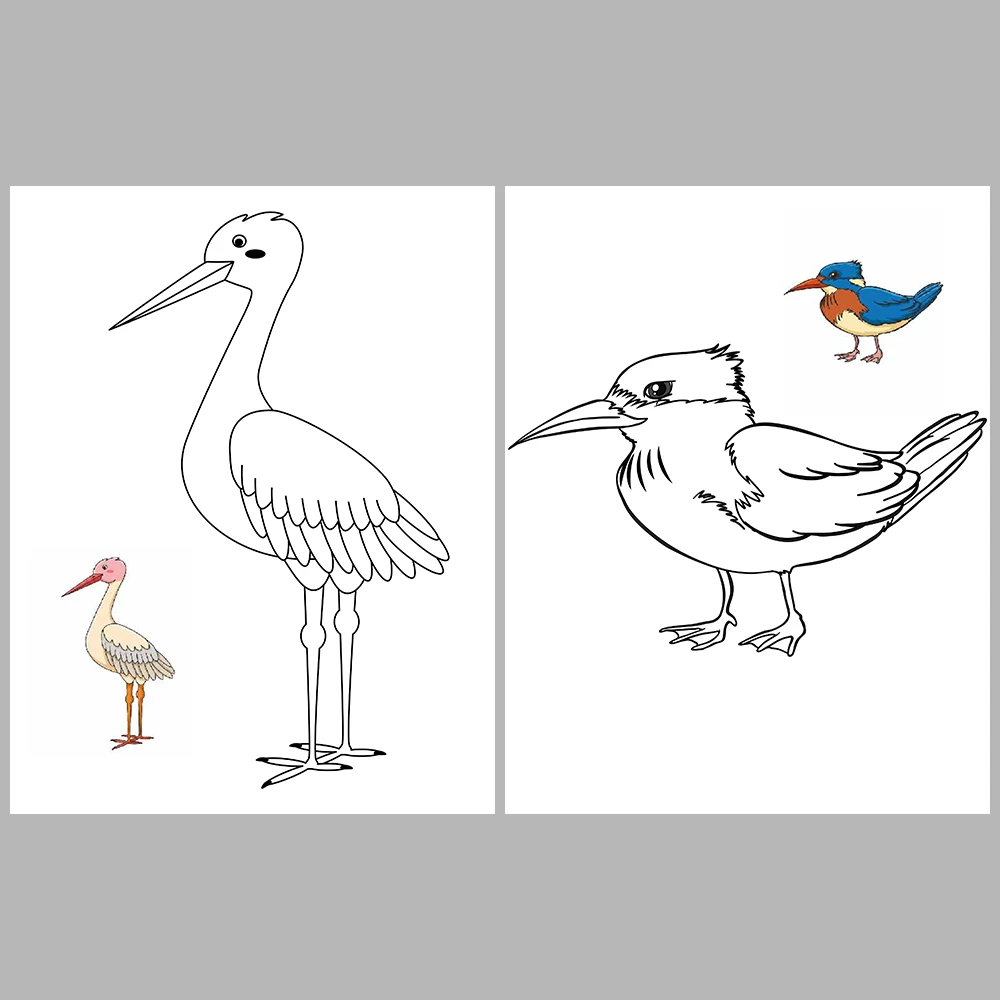 Flying Animals Coloring / With Reference Image