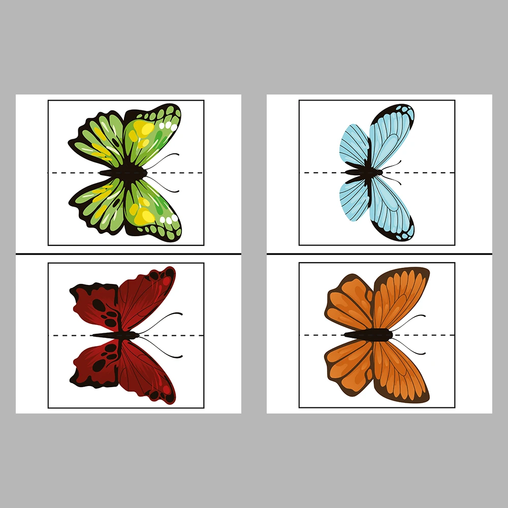 Match the Butterflies Activity Book