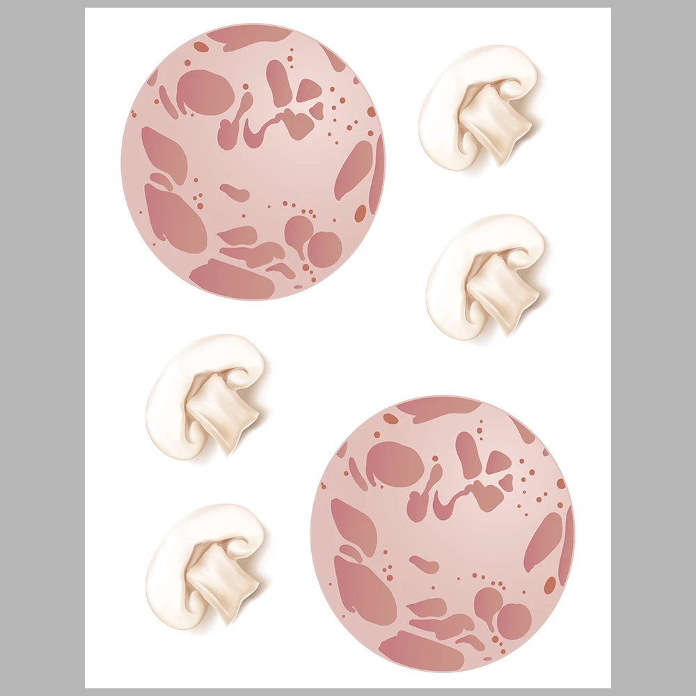 I’m Preparing My Toast Activity Book