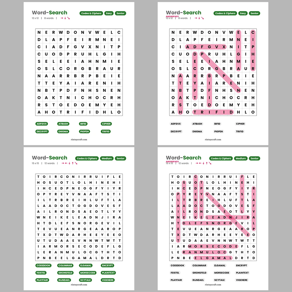 Word Search – Codes and Ciphers – Puzzles and Brain Teasers – Themes