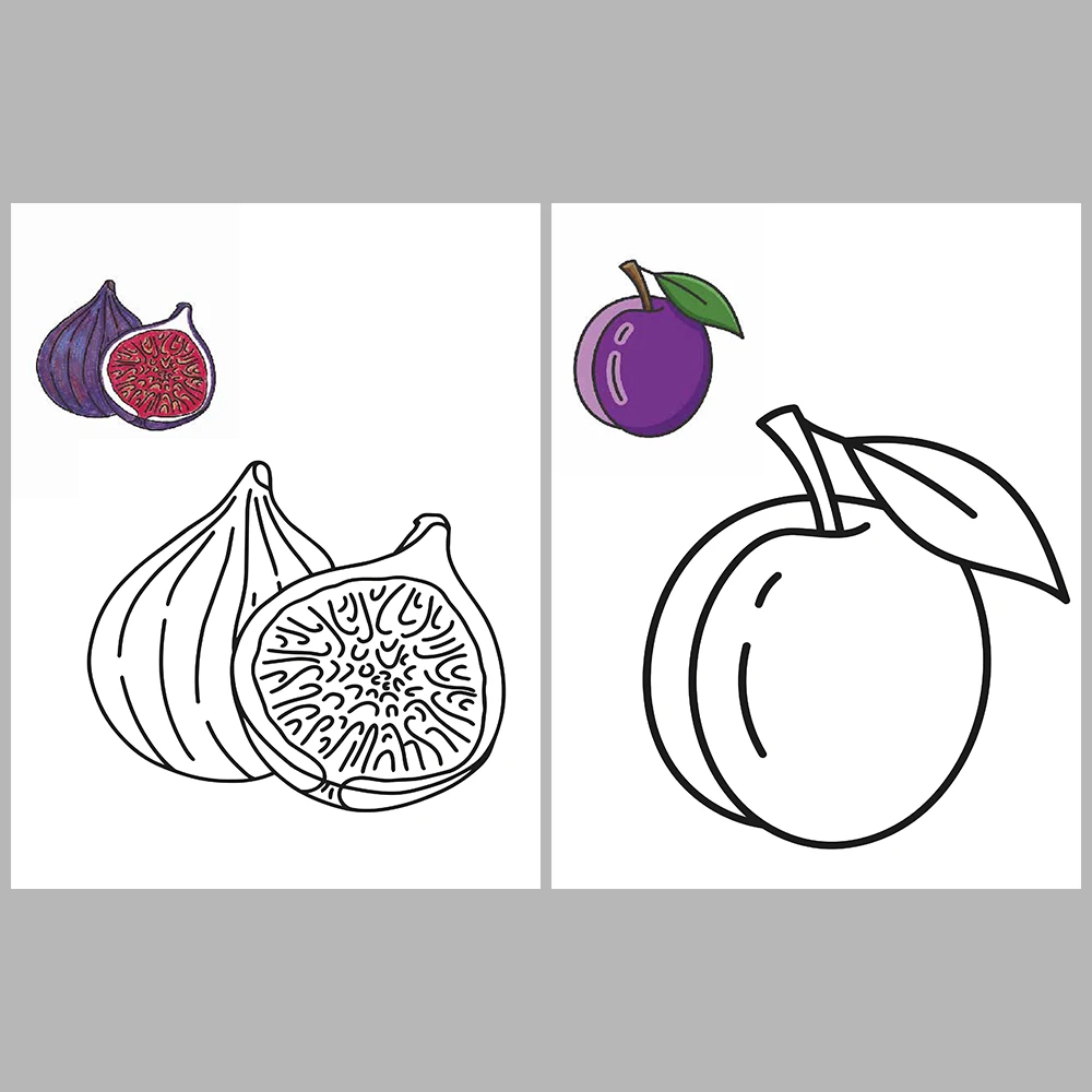 Fruits Coloring / With Reference Image