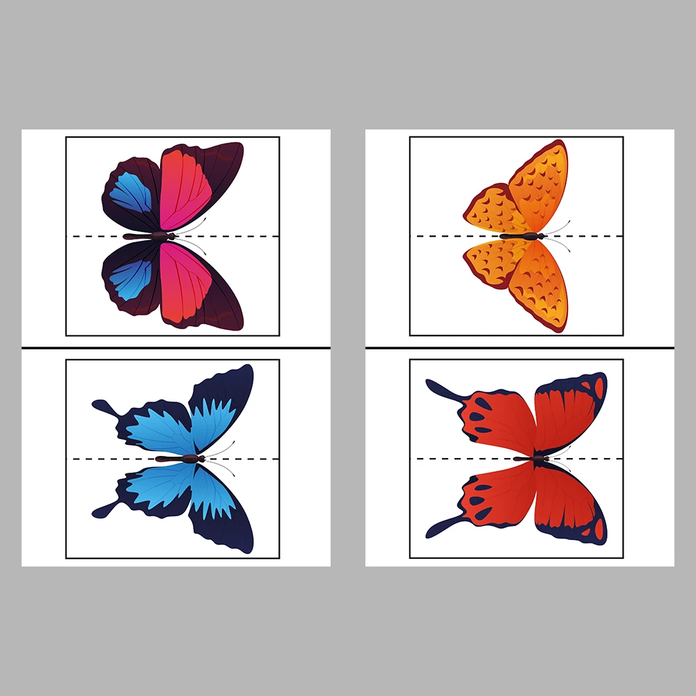 Match the Butterflies Activity Book
