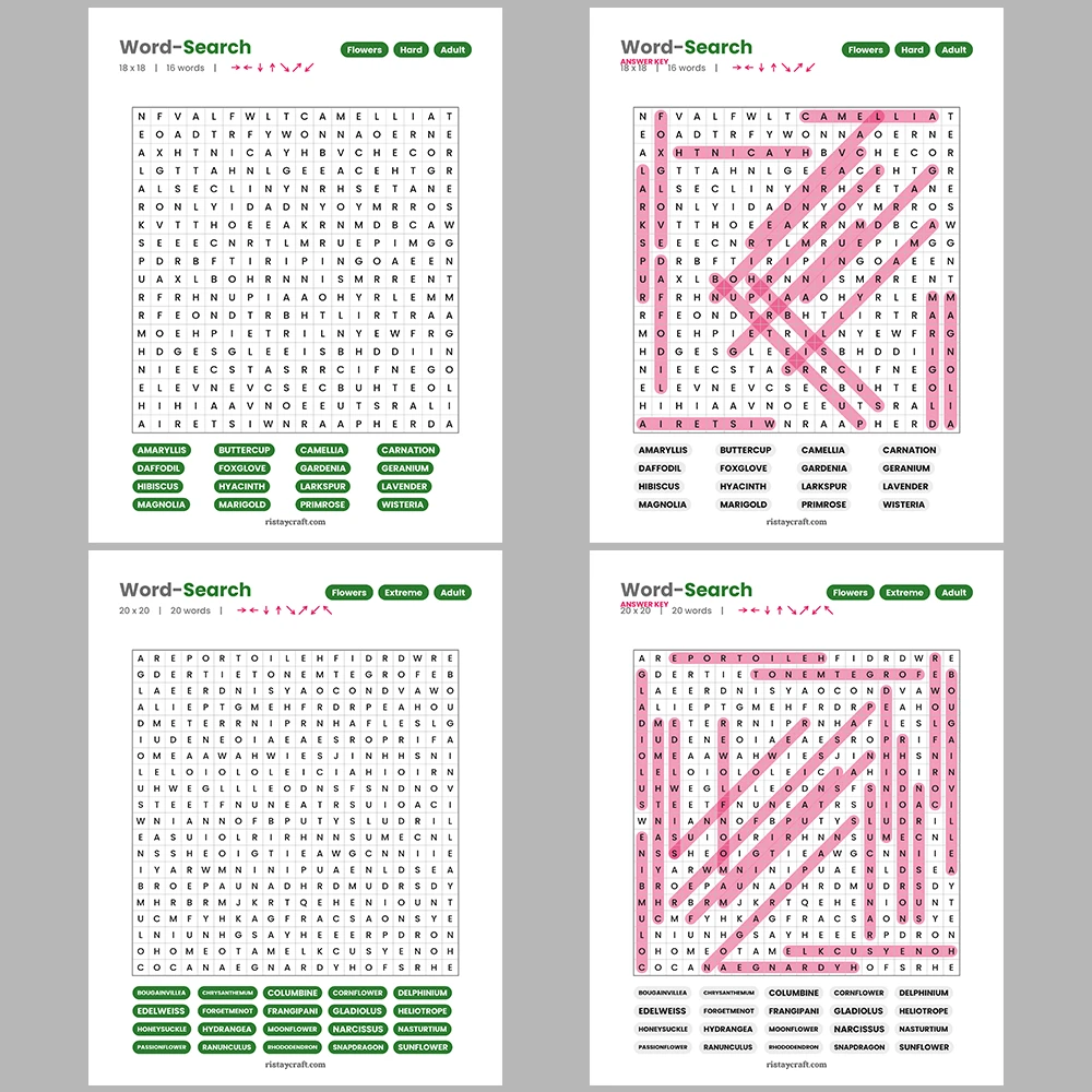 Word Search – Accounting & Bookkeeping – Ice Cream Flavors – Themes