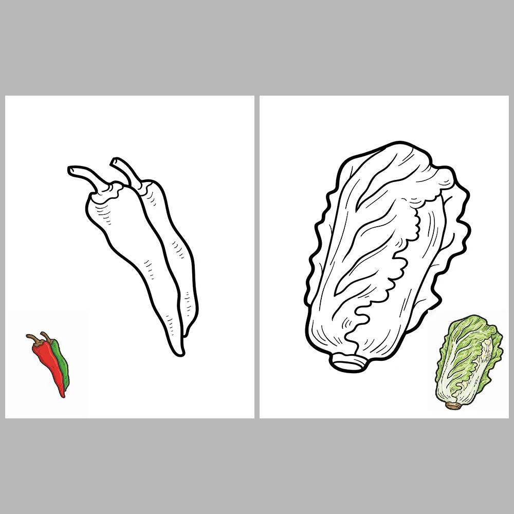 Vegetable Coloring Pages – Reference Images