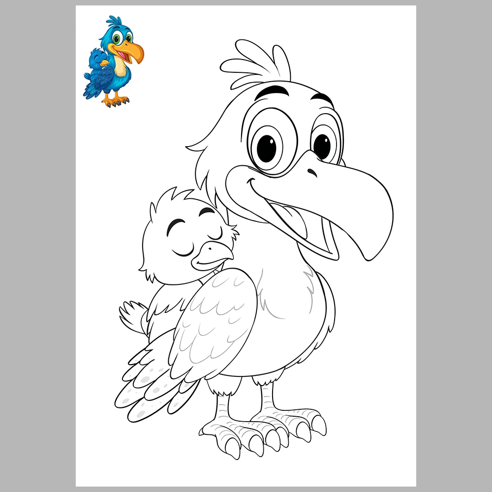 Bird Coloring Pages / Reference Images