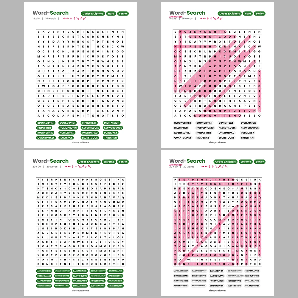Word Search – Codes and Ciphers – Puzzles and Brain Teasers – Themes