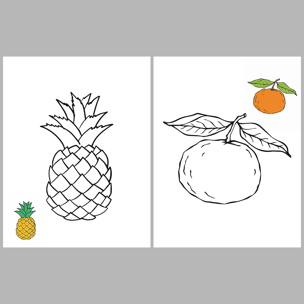 Fruits Coloring / With Reference Image