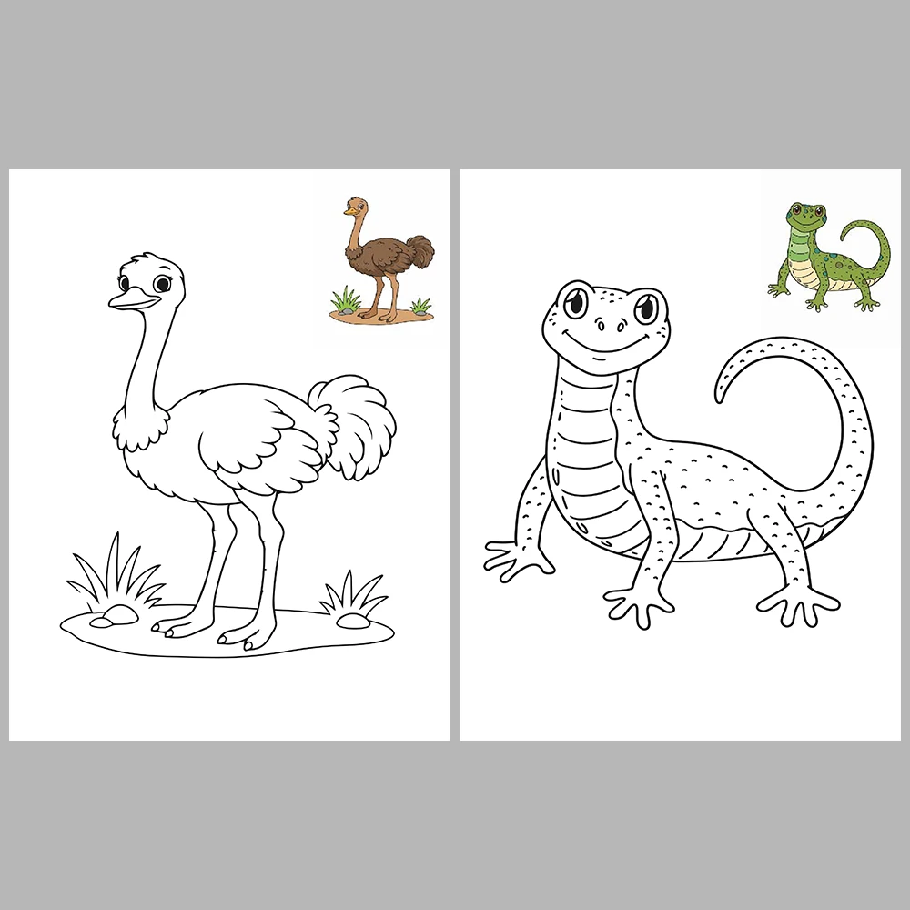 Animal Coloring Pages / with Reference Image