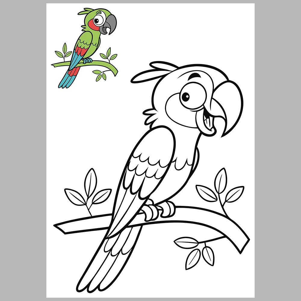 Bird Coloring Pages / Reference Images