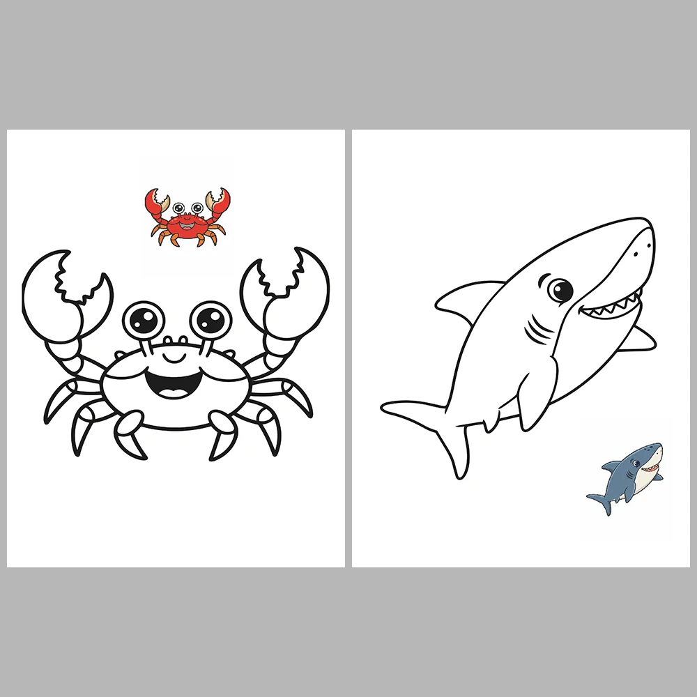 Ocean Animal Coloring Pages – With Reference Images