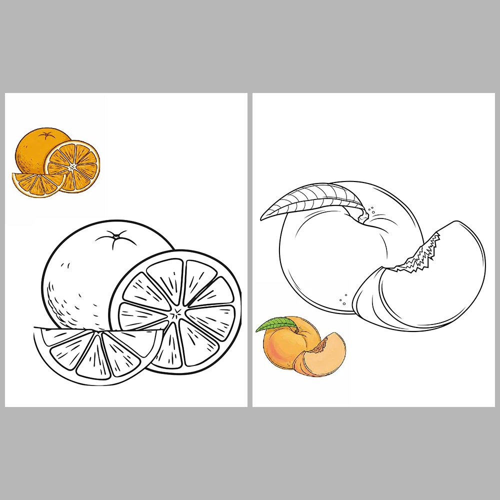 Fruits Coloring / With Reference Image