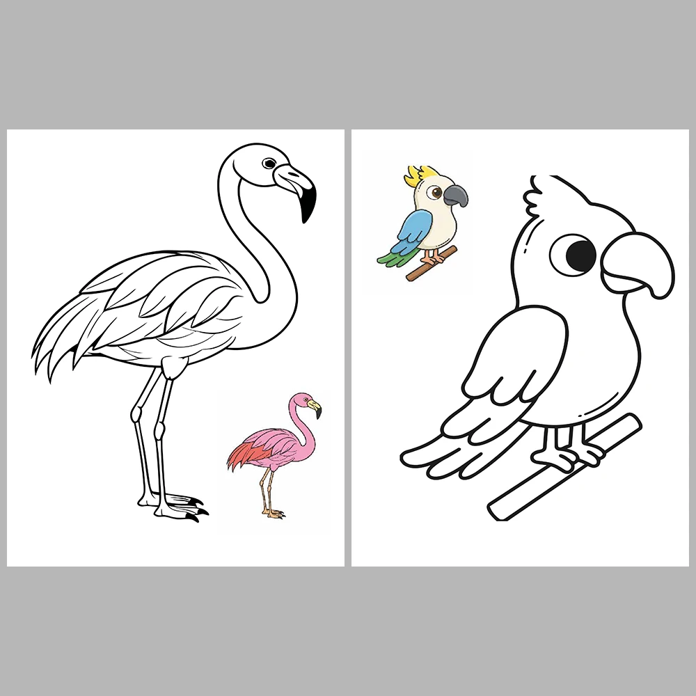 Flying Animals Coloring / With Reference Image