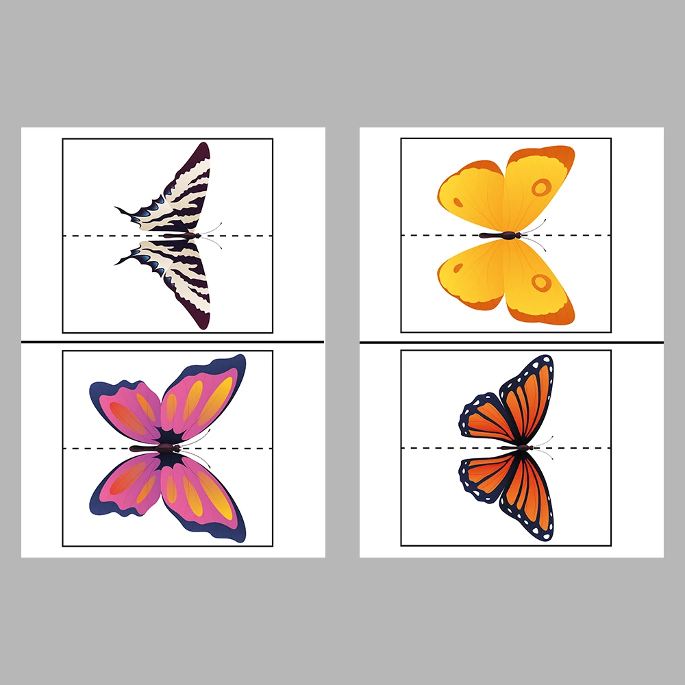 Match the Butterflies Activity Book