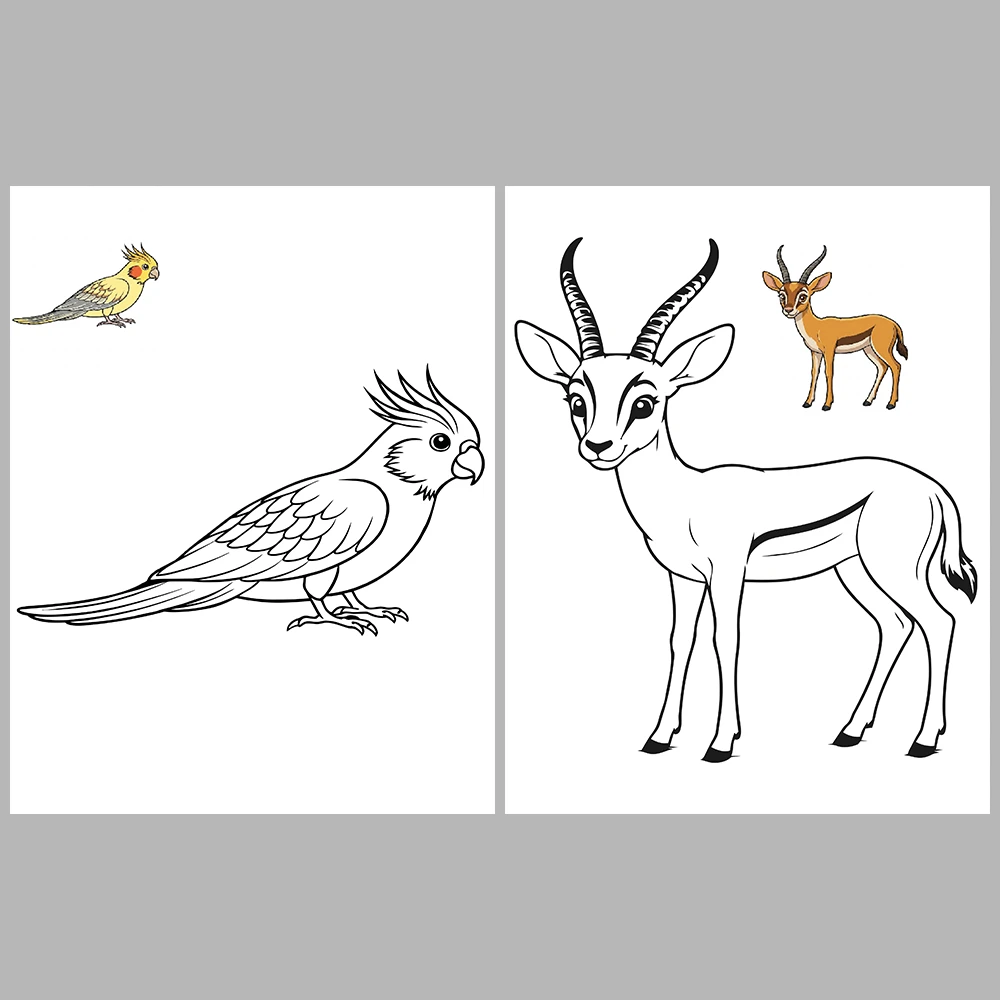 Animal Coloring Pages / with Reference Image