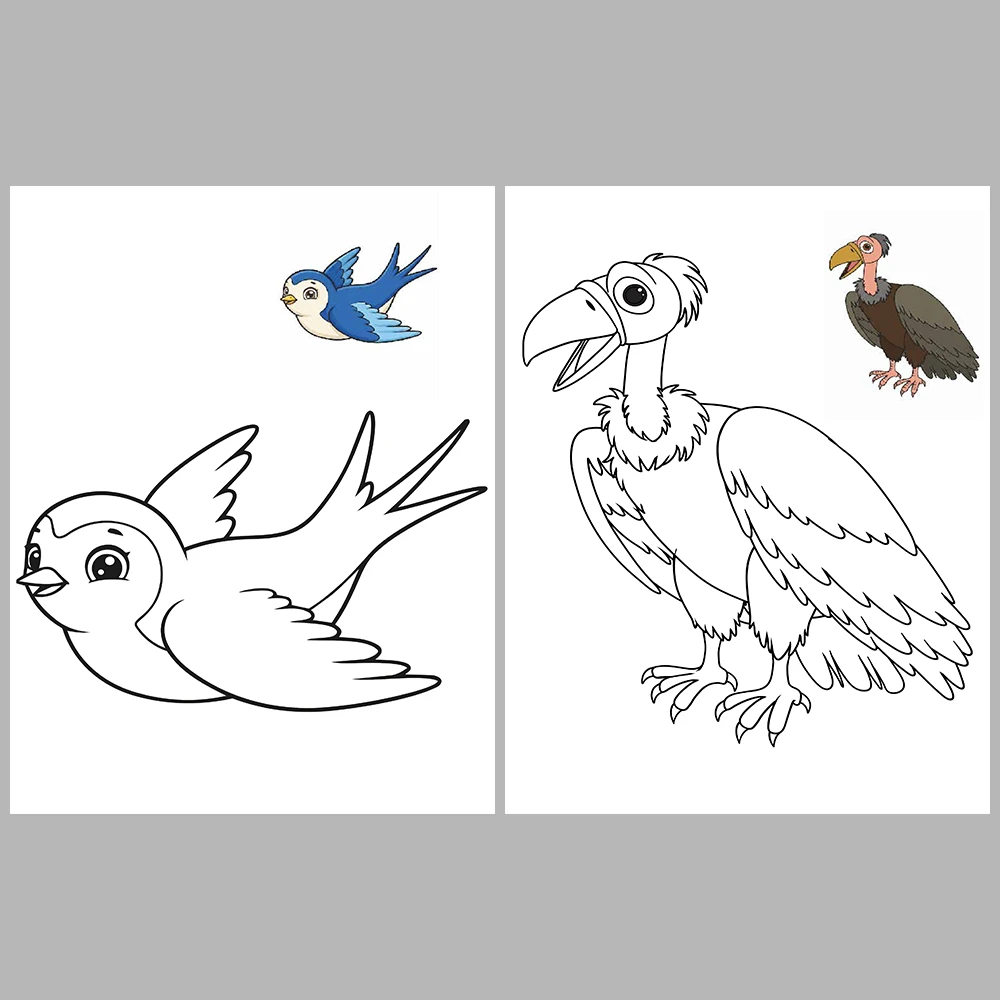 Flying Animals Coloring / With Reference Image