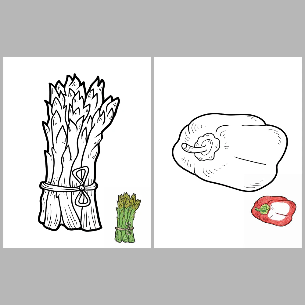 Vegetable Coloring Pages – Reference Images