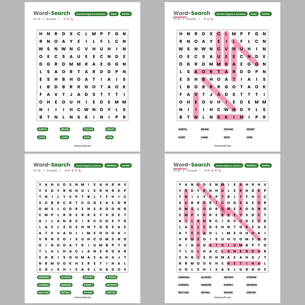 Word Search – Codes and Ciphers – Puzzles and Brain Teasers – Themes