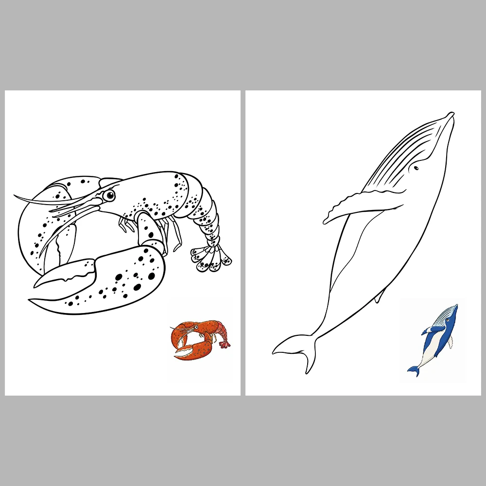 Ocean Animal Coloring Pages – With Reference Images