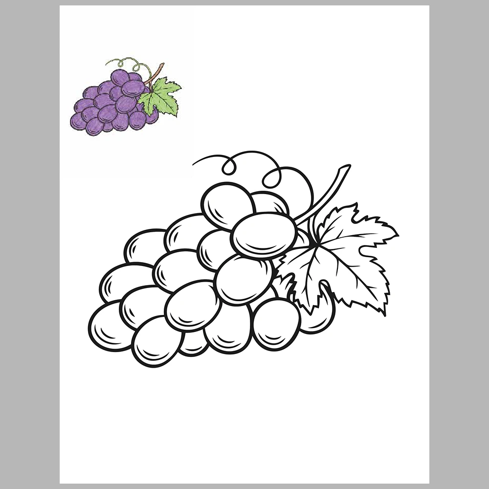 Fruits Coloring / With Reference Image