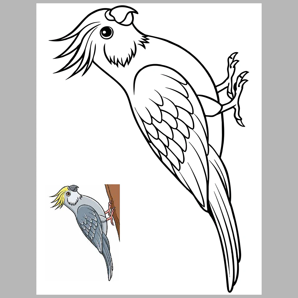 Flying Animals Coloring / With Reference Image