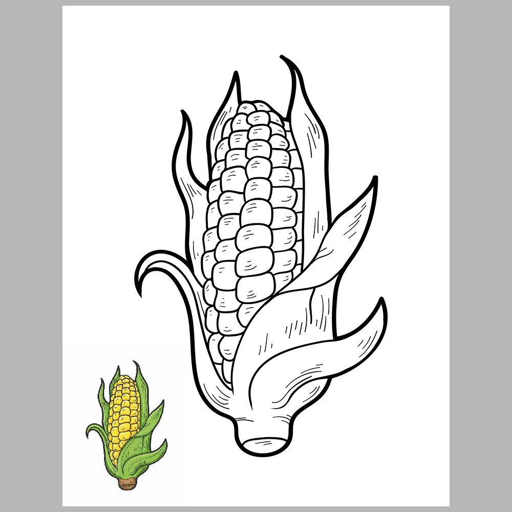 Vegetable Coloring Pages – Reference Images