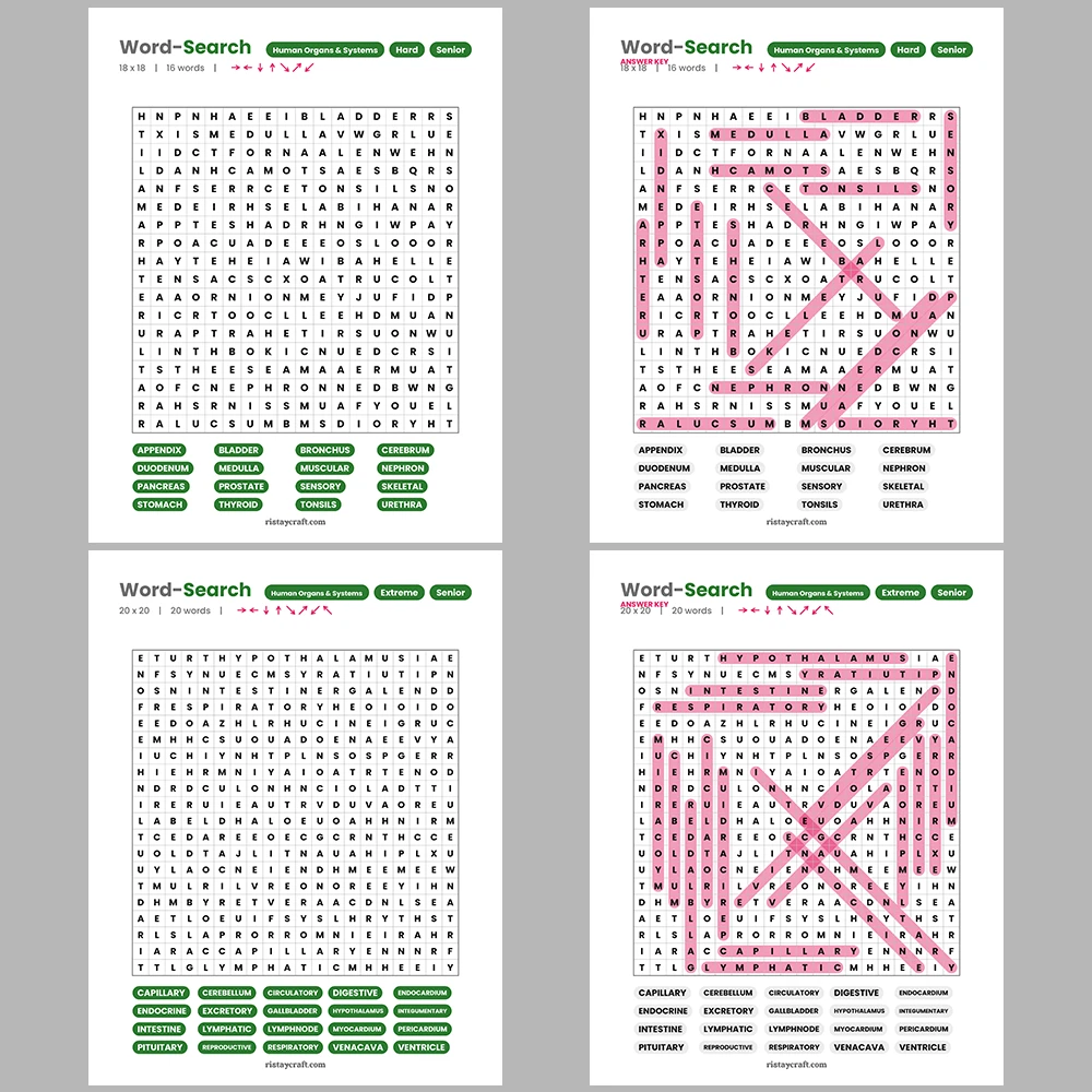 Word Search – Codes and Ciphers – Puzzles and Brain Teasers – Themes