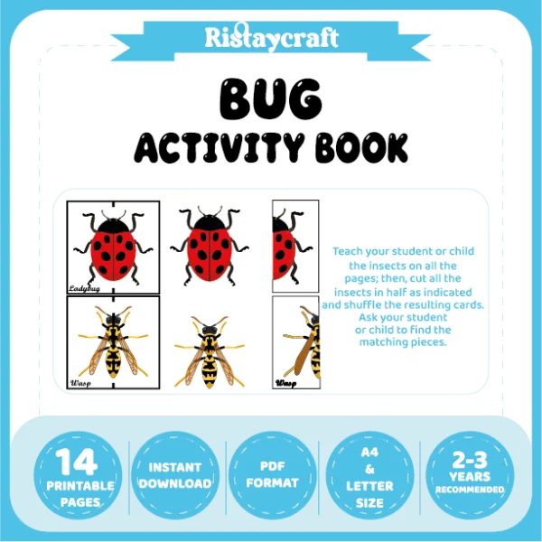 Learn and Match Insects Activity Book