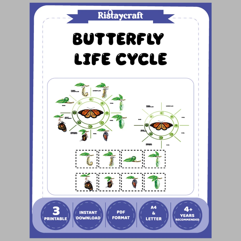 Butterfly Life Cycle