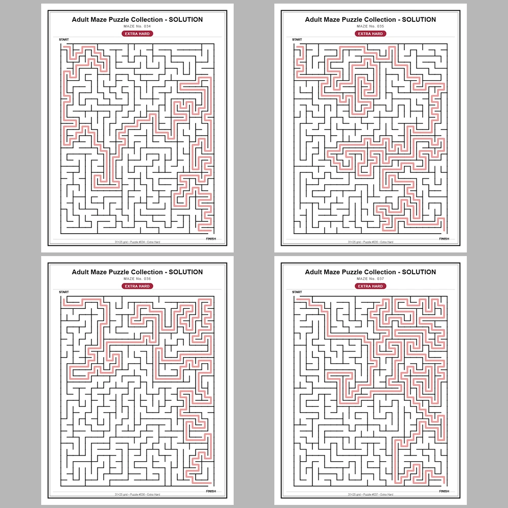 Maze Puzzle Extra Hard 50 Pages of Puzzles – Vol. 1